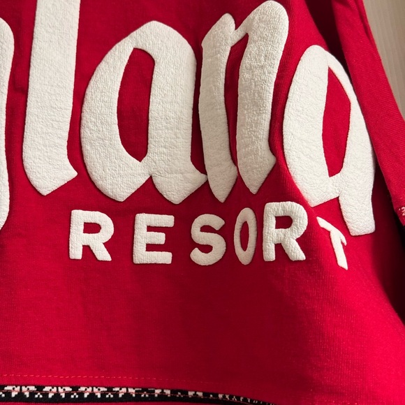 DISNEYLAND Christmas Sweater Spirit Jersey like new size large - Picture 3 of 7